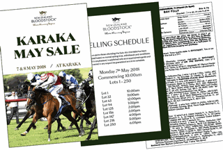 2018 Karaka May Sale catalogue available online now.